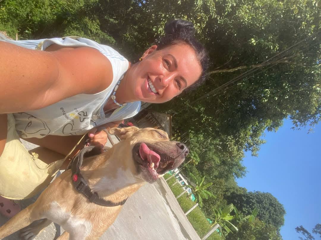 Dog & Cat Rescue Samui Foundation | Ko Samui