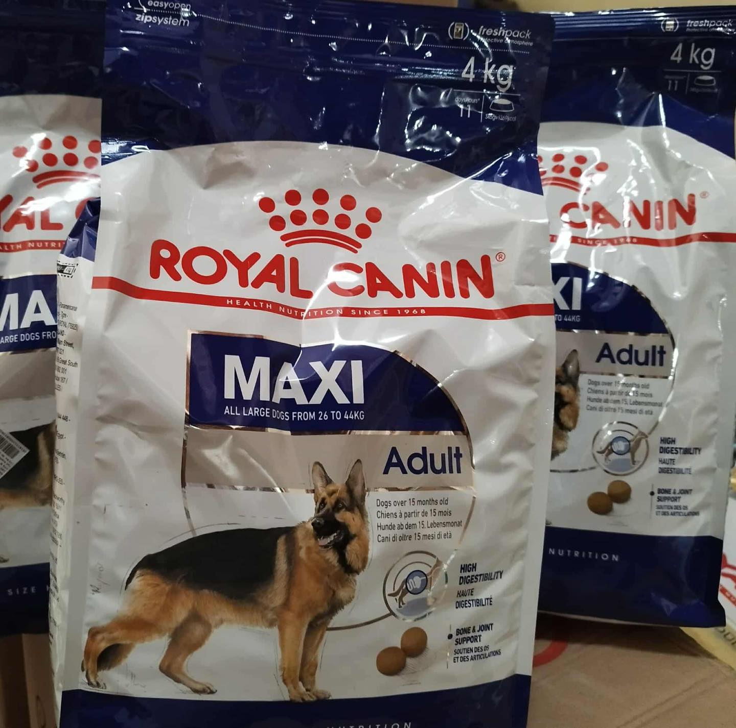 Royal Canin Maxi Dog Food Adult 15kg ーン. heve . e eyeruperi