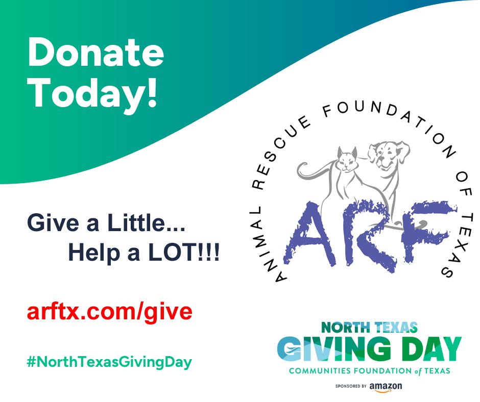 Animal Rescue... - Animal Rescue Foundation of Texas