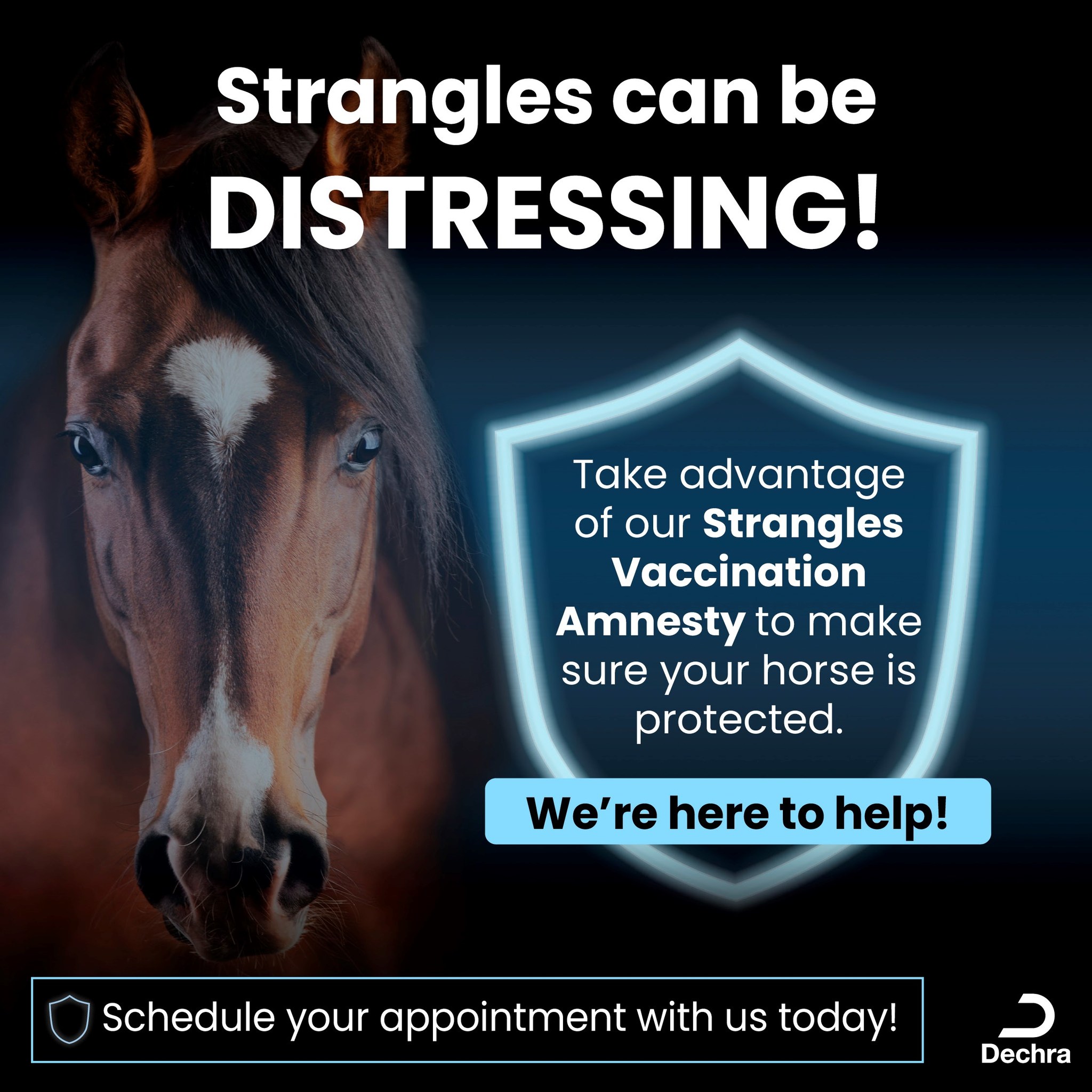 Scott Dunn's Equine Clinic... - Scott Dunn's Equine Clinic