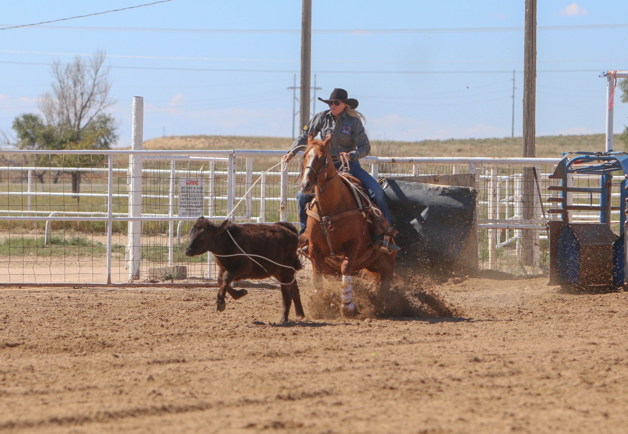 Roping.com | Albuquerque NM