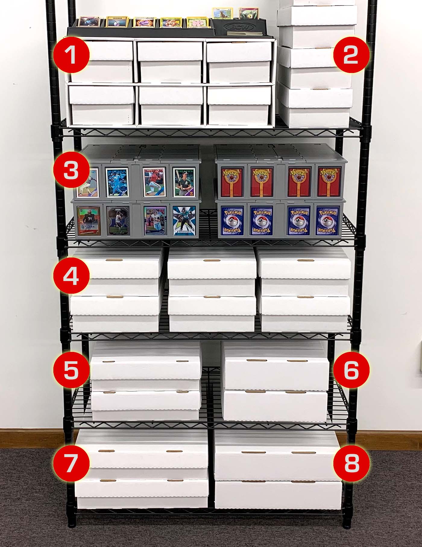 BCW Sports Supplies - What card boxes do you need for your shelves? See ...