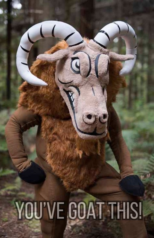 ⏳ Only 1 Month to Go ⏳ The countdown... - The Goat Tongariro