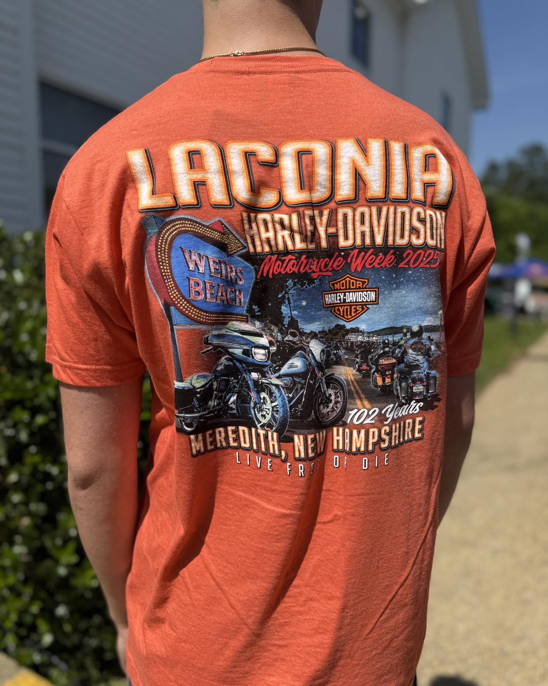 This ain't no tease. Just lots of tees. 👕 Your Laconia & White