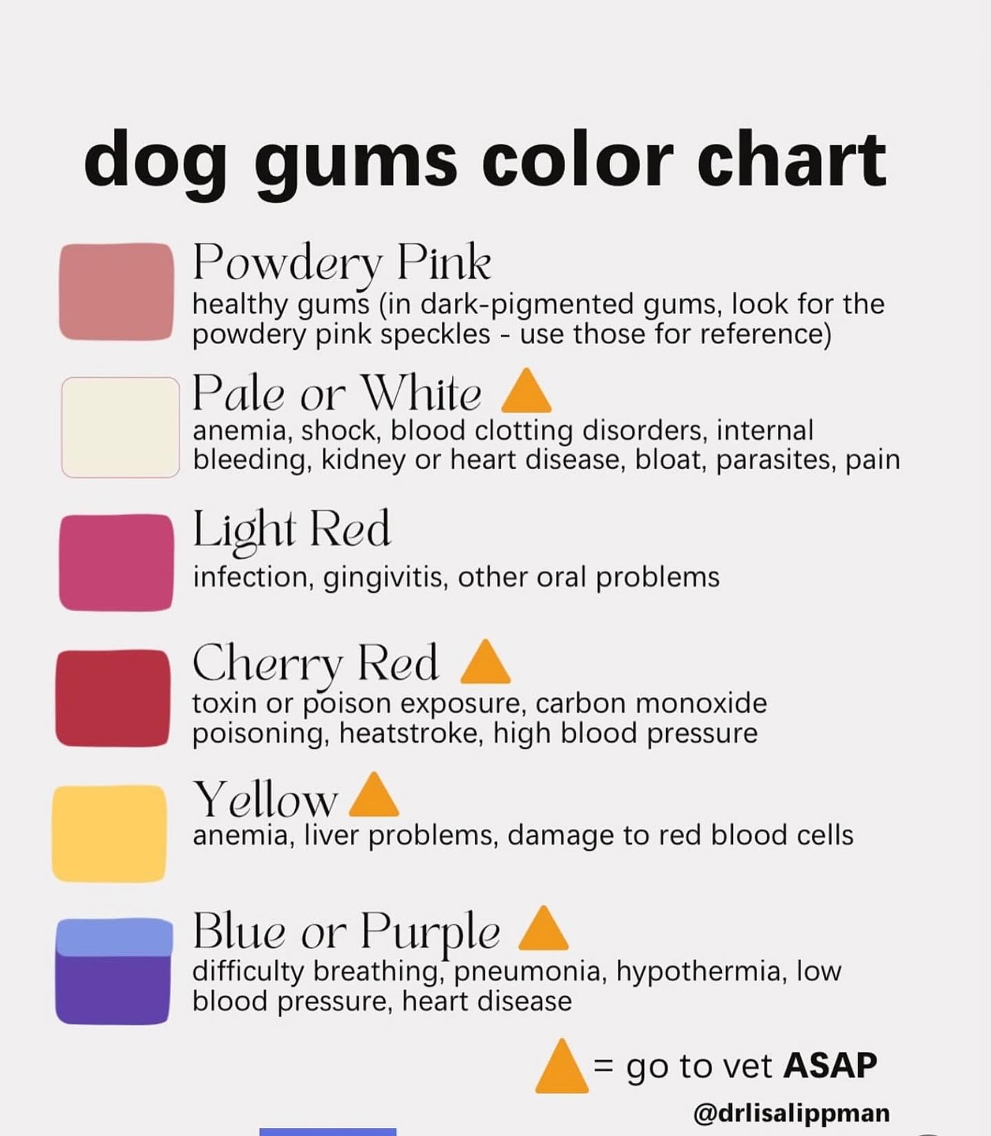 A color chart you should know! If your... - The Dapper Hound | Facebook