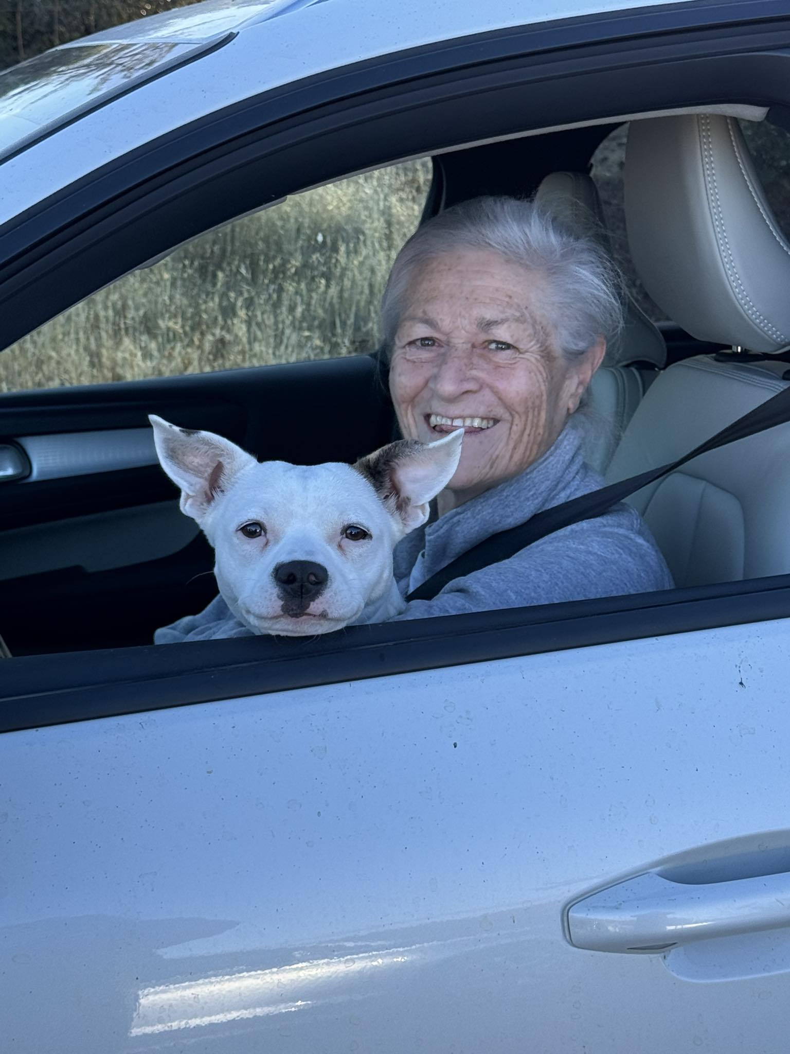 Humane... - Humane Society for Inland Mendocino County