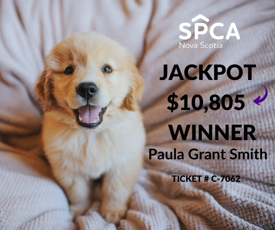 Nova - Forecast: cloudy and 100% smiles for our newest raffle winner. 😁 ...