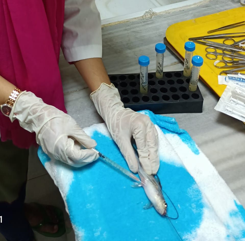 Students from Chattogram... - Fish Diseases Research-bfri | Facebook