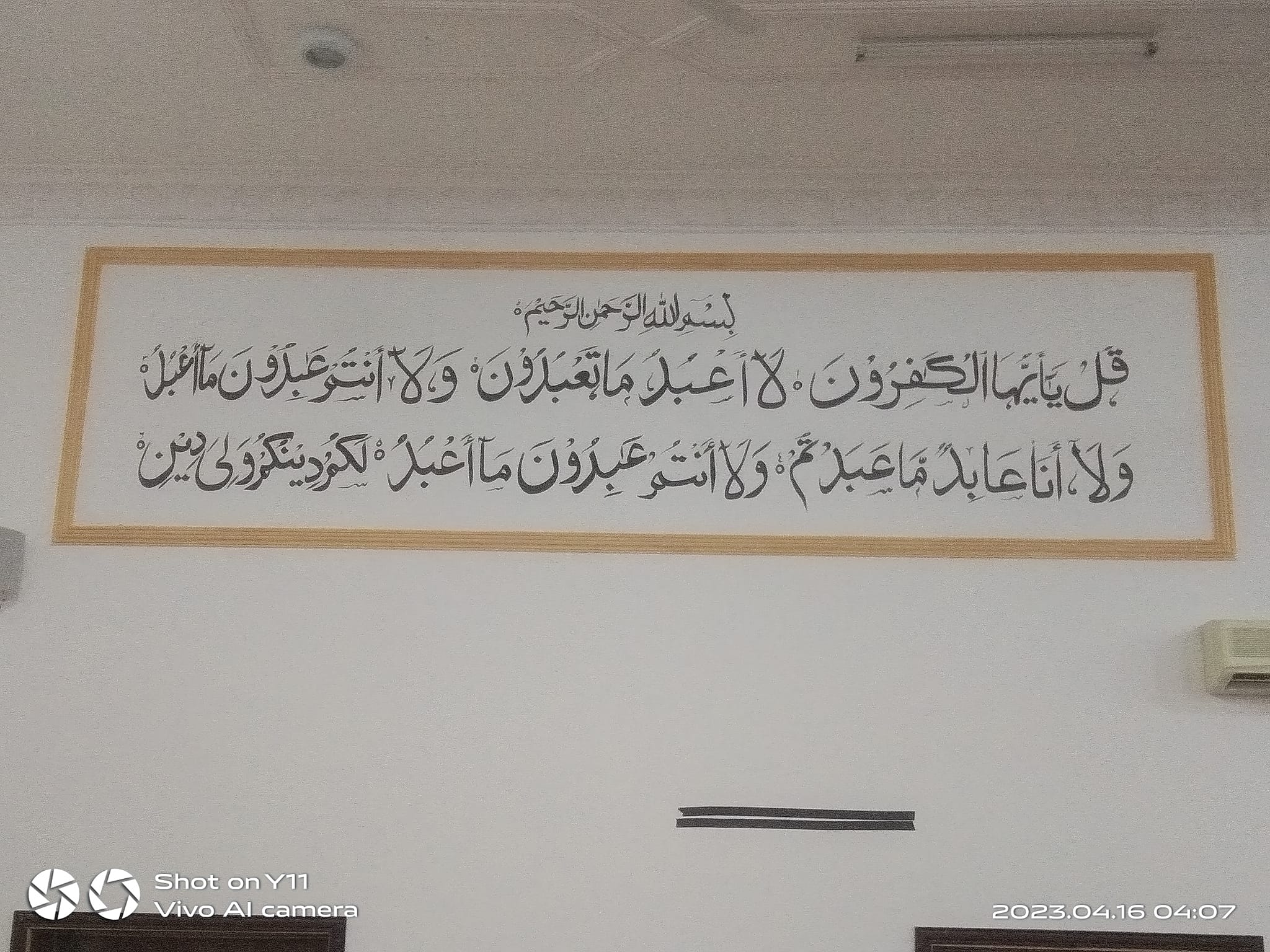 moynul-islam