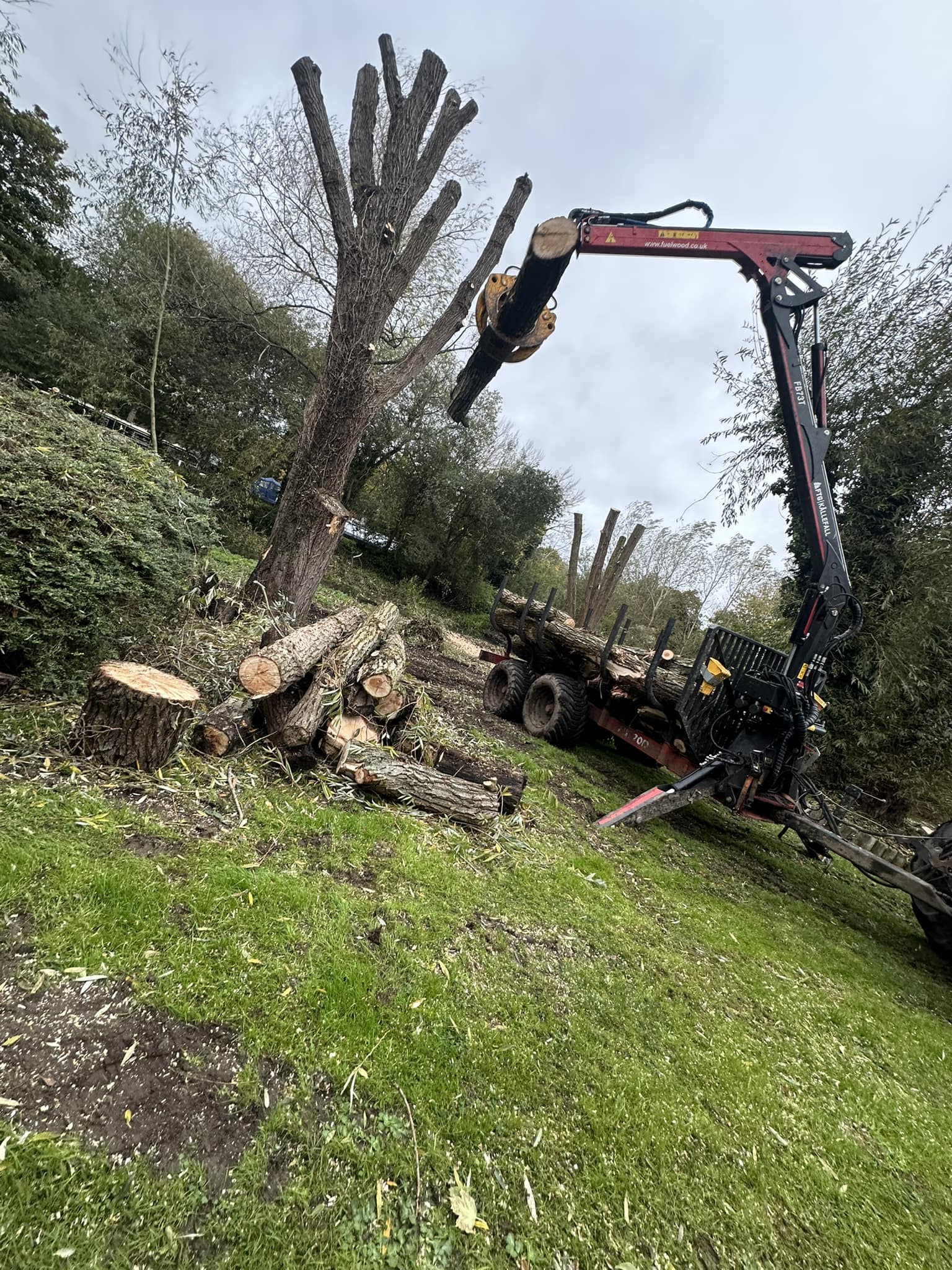 C A Cook & Co Tree services | Thatcham