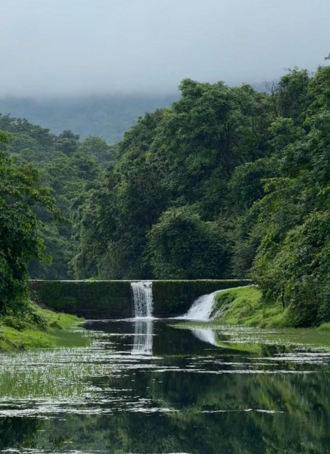 Beauty - Piklewadi Waterfall in Collem, Goa. | Facebook