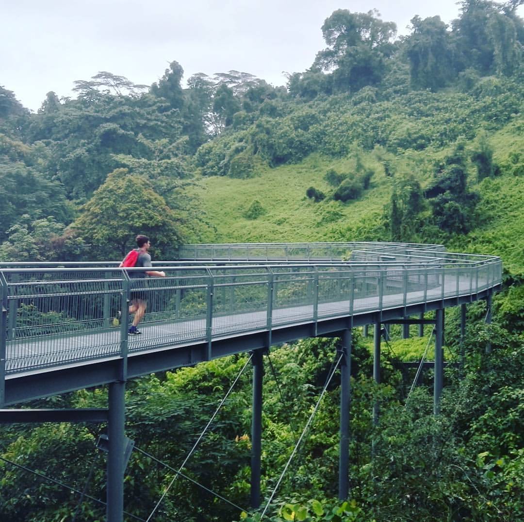 Run With Me Singapore - A bit of a throwback to running the forest walk ...