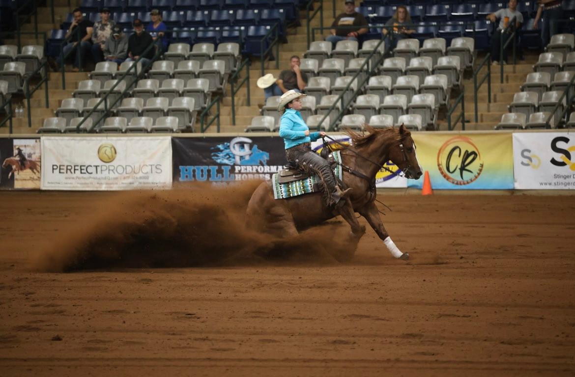 Magnolia Performance Horses... - Magnolia Performance Horses