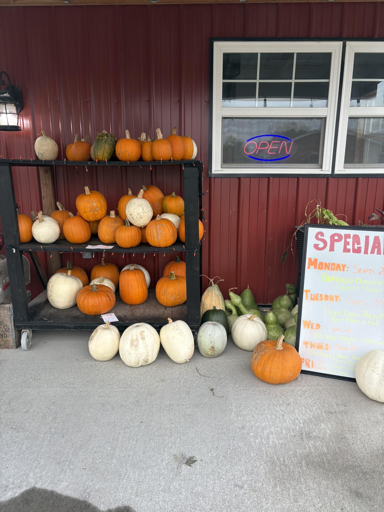 Pumpkins for sale in Santa Cruz