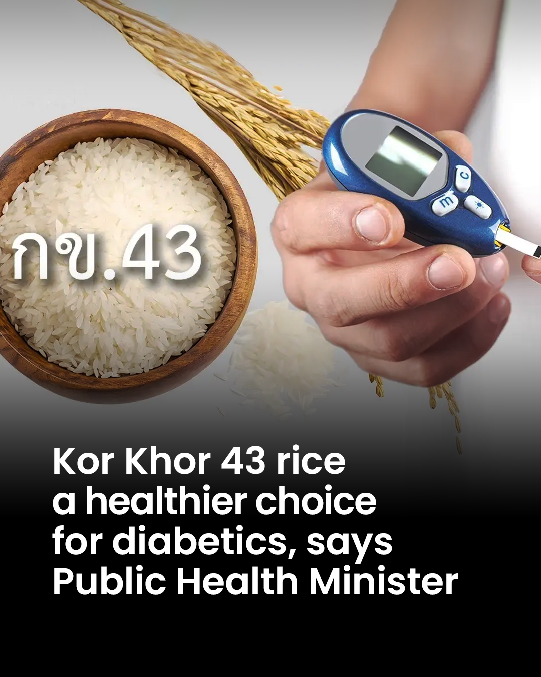 The Nation - Thailand’s Kor Khor 43 rice has been identified as a ...