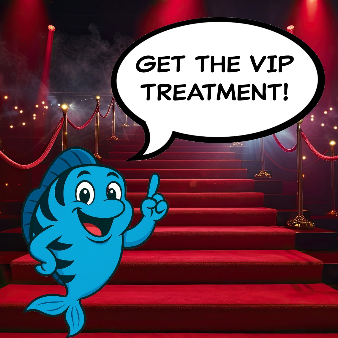 🌟 Get the VIP Treatment at the... - J&R Aquatic Animal Rescue | Facebook