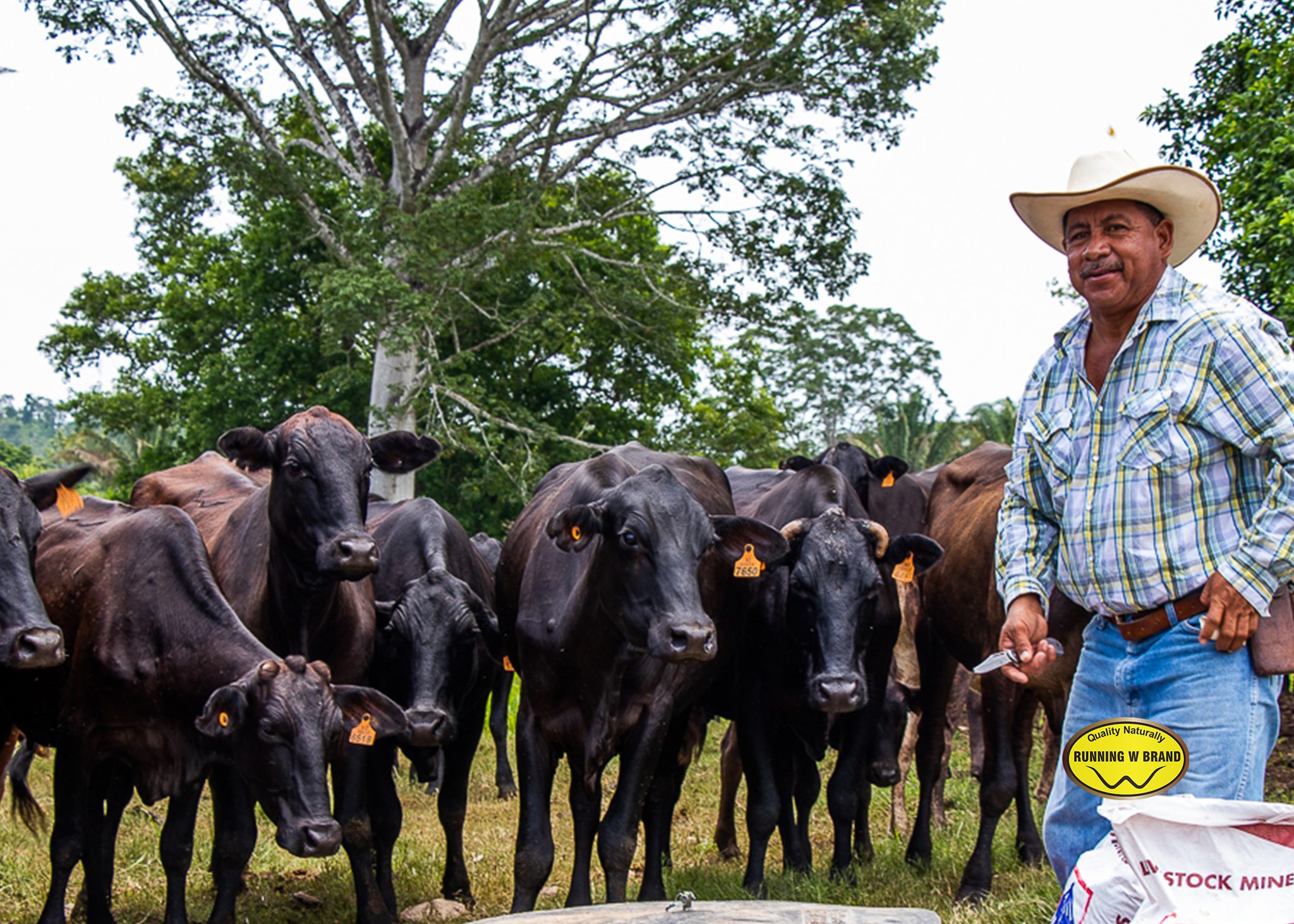 Meet our head cattleman Don... - Running W Brand Meats | Facebook