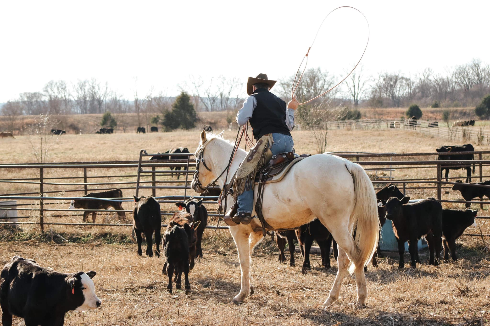 Sandy River Ranch, LLC
