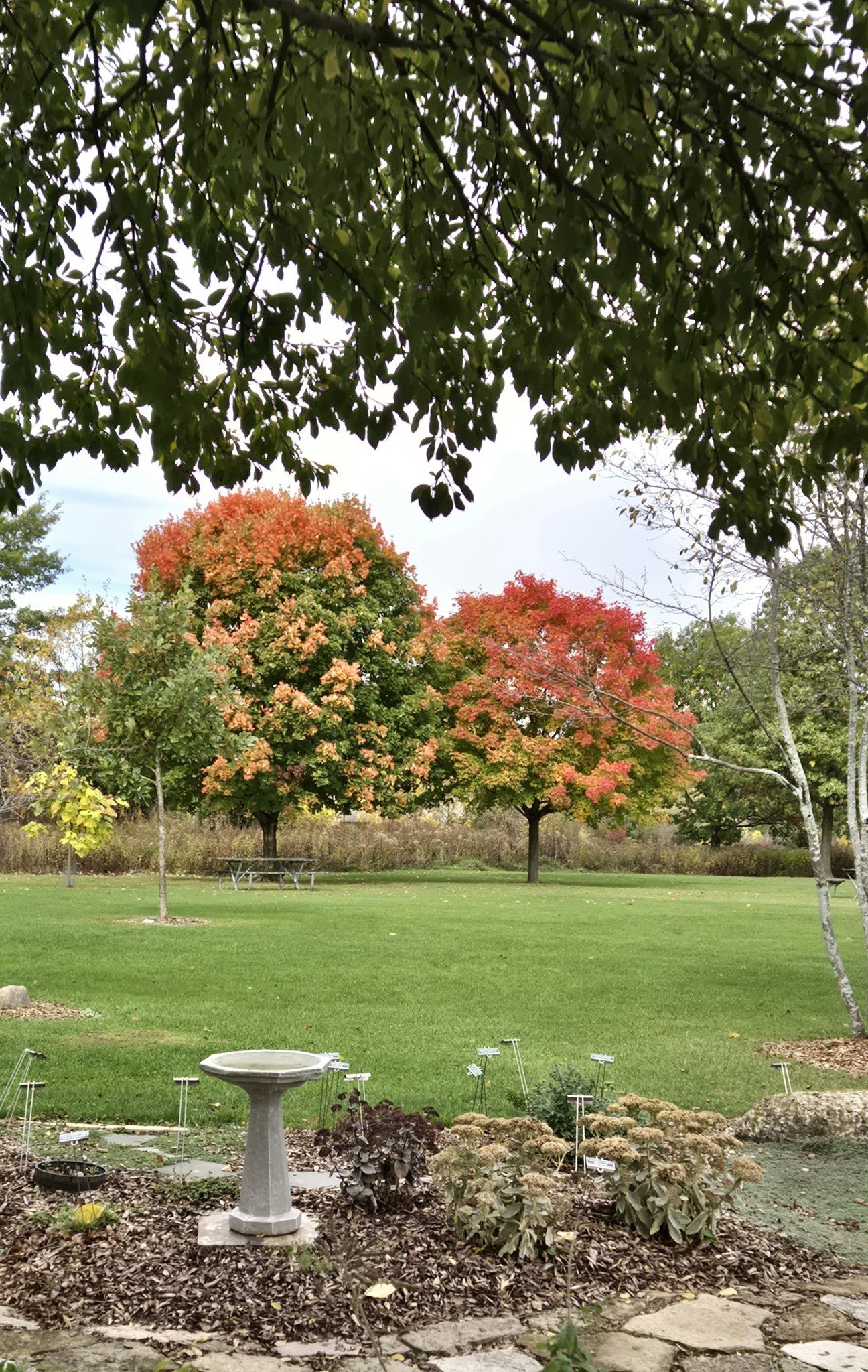 Friends of Scheig Center Gardens | Appleton WI