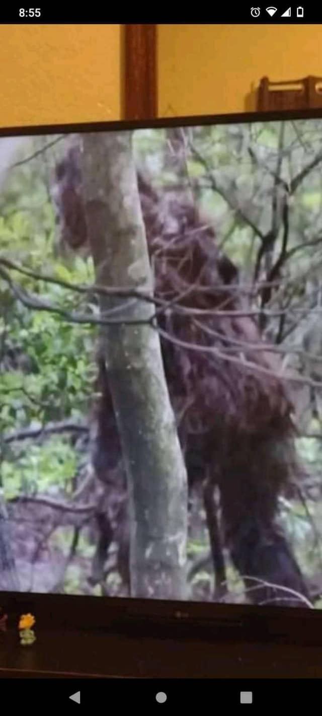 Pacific Northwest Cryptid Extermination Program