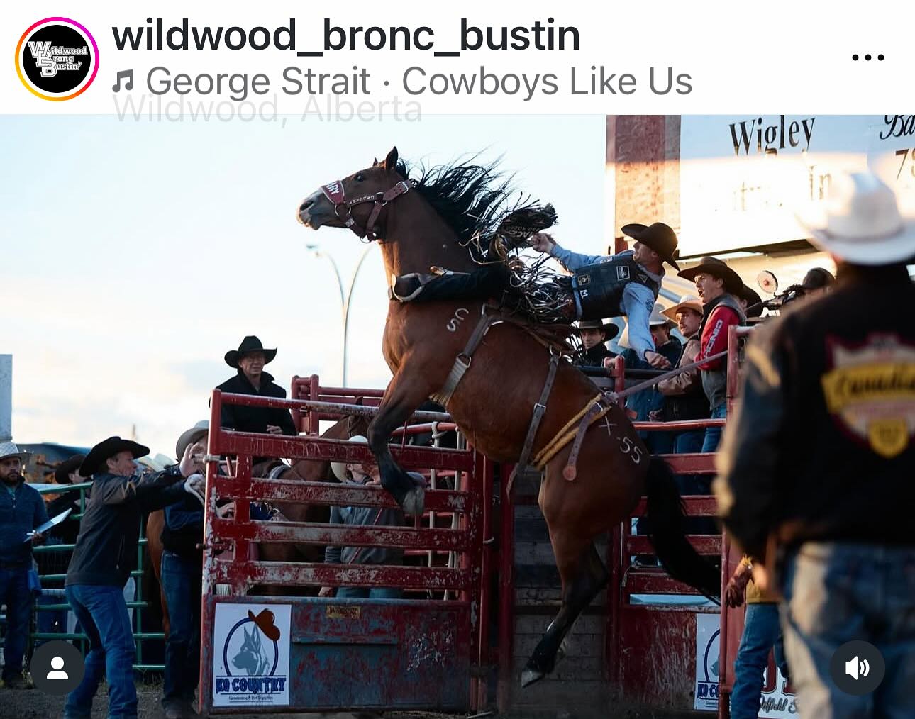 Bronc - WILDWOOD, Alberta - THIS coming Saturday night just West of ...
