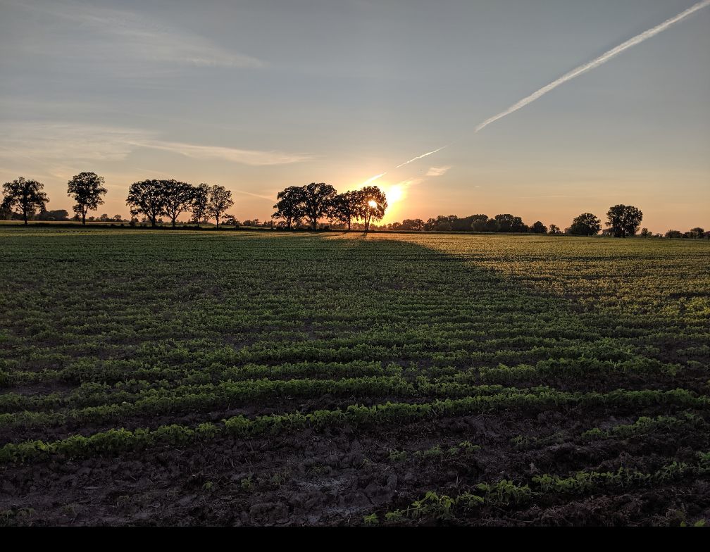 Pahlow Farms LLC | Oshkosh WI