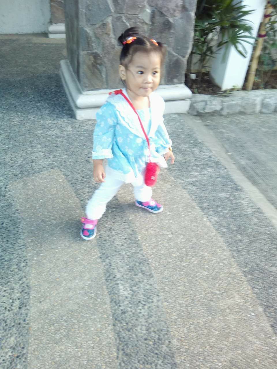 Rolly Reyes