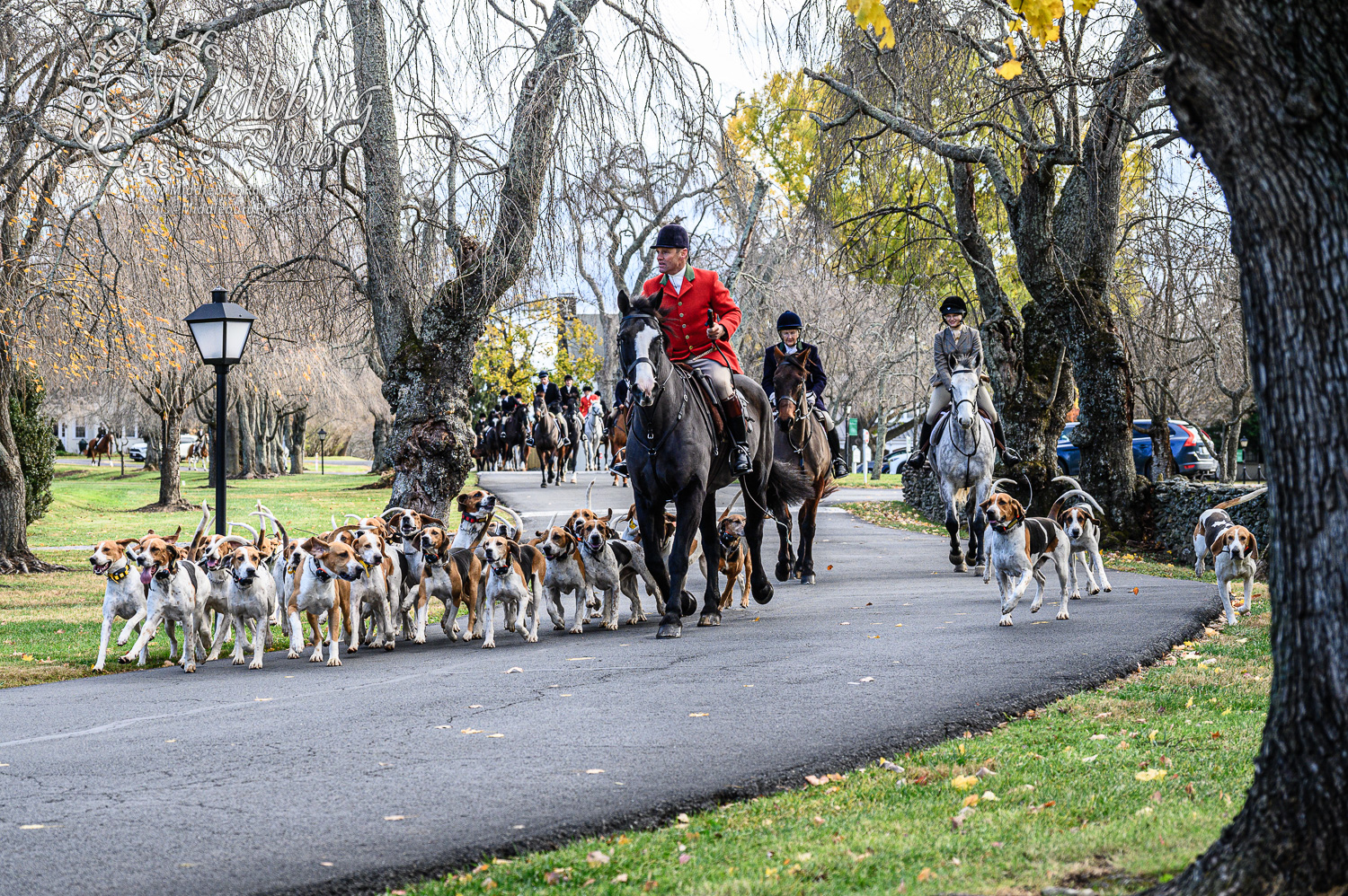 Middleburg Hunt - The Foxcroft meet, always on the... | Facebook
