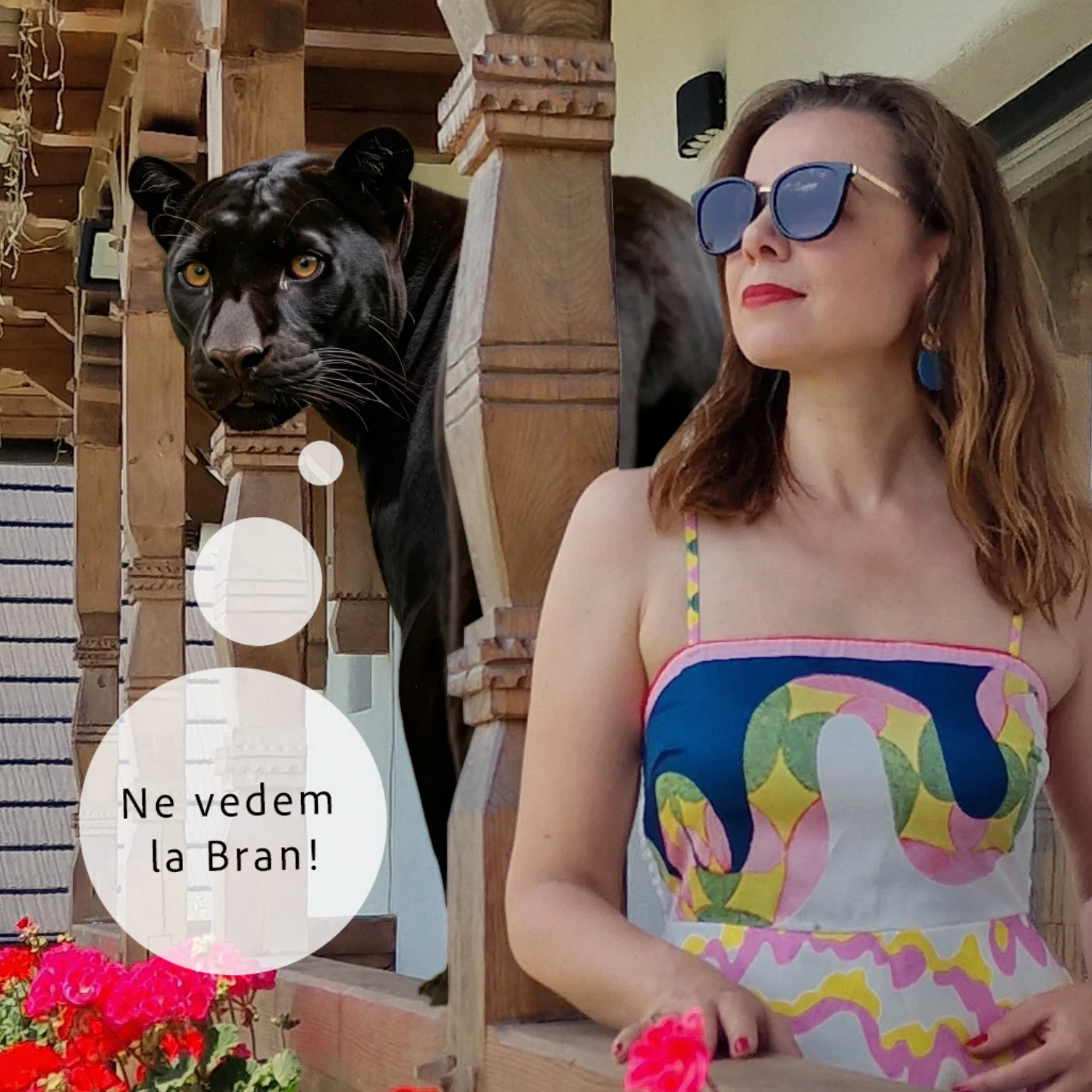 Plai-din-Bran | Predelut
