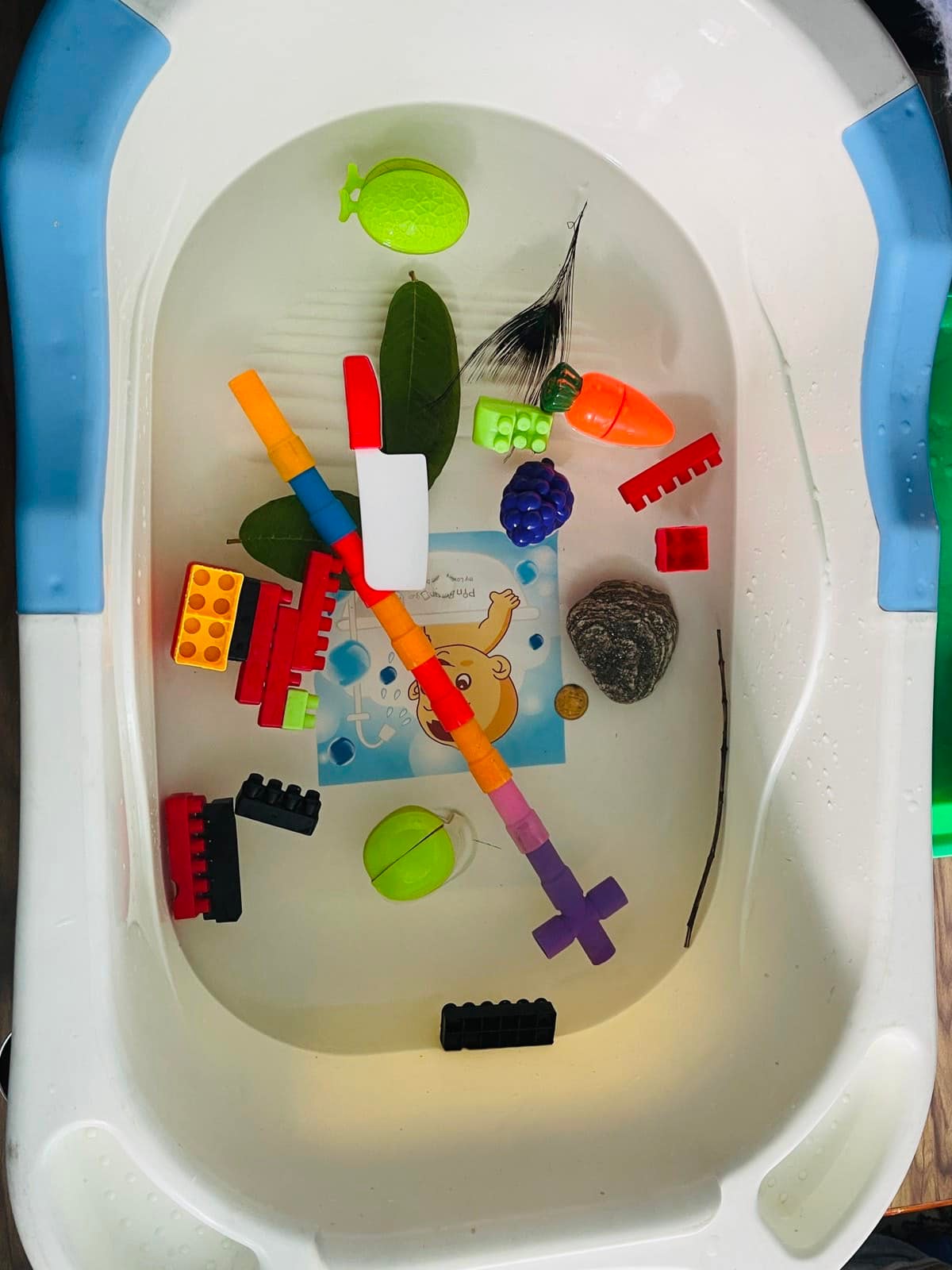 Our little learners observing objects... - Nesting Preschool