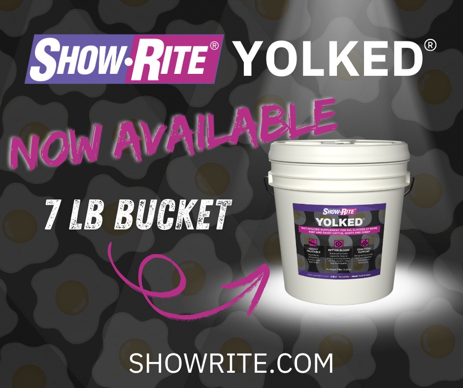 Show-Rite - Big results, smaller size. We understand, not... | Facebook