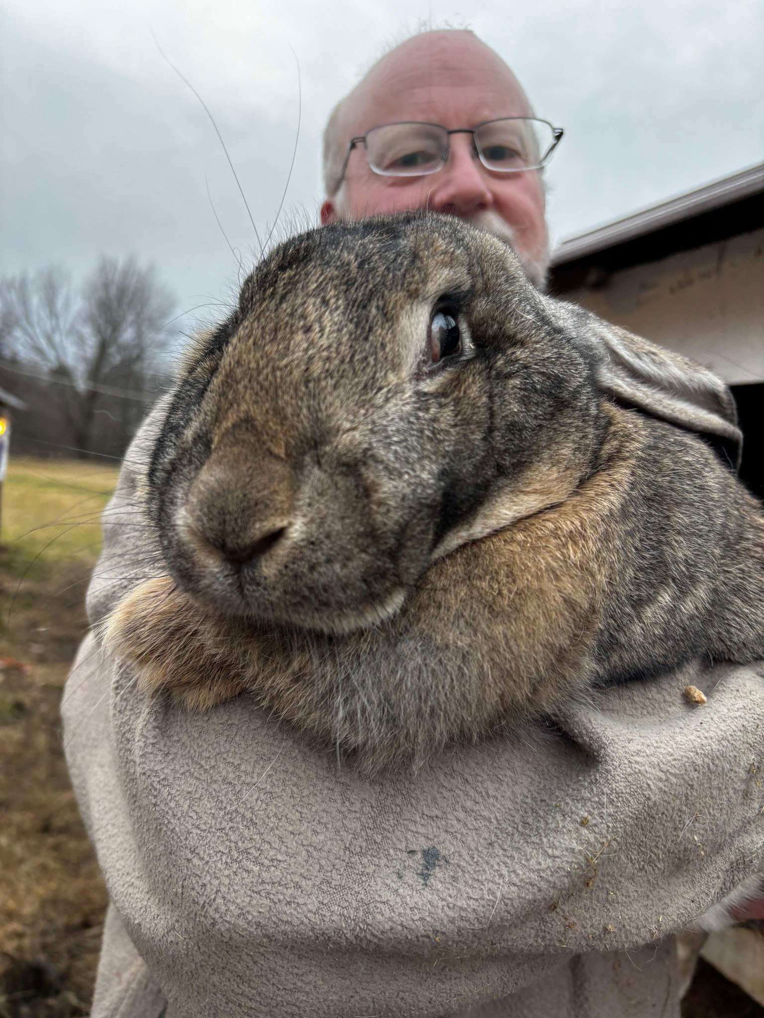 Jet Hill Rabbitry