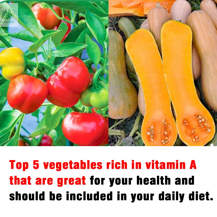 Pyrah's - Here are the top 5 vegetables rich in vitamin A that are ...