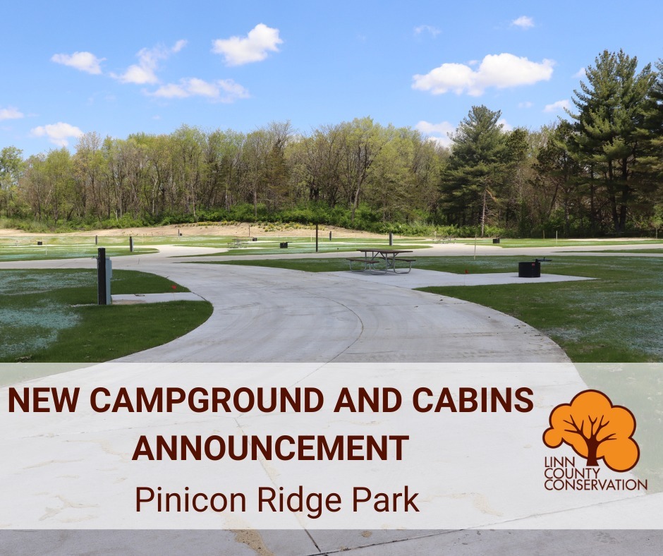 Linn - We are entering the final phases of construction and pleased to ...