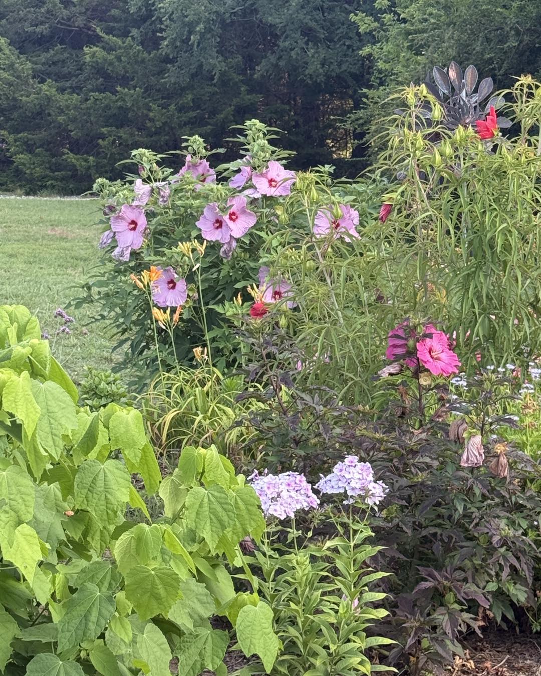 Lavender Ridge Farms added a new photo. - Lavender Ridge Farms