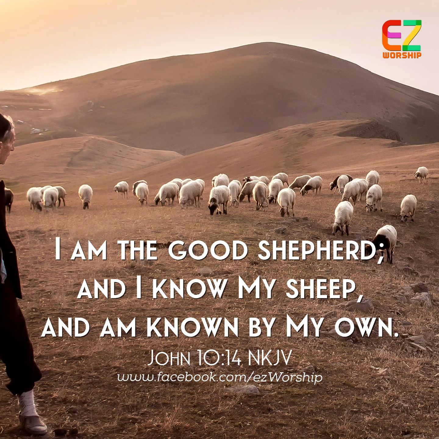 EZ - John 10:14 NKJV I am the good shepherd; and I know My sheep, and ...