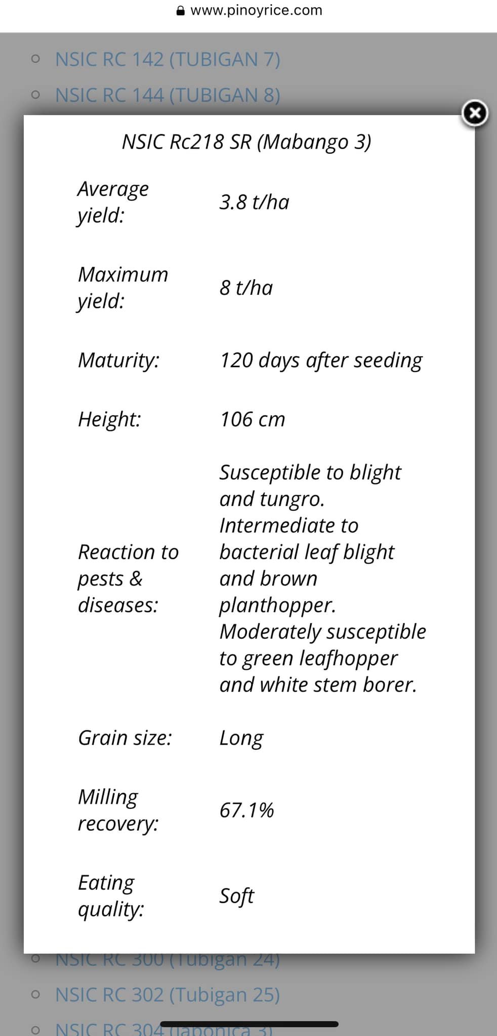 Miracle - 🌾 BINHING PALAY AVAILABLE Harvest Date : September-October ...