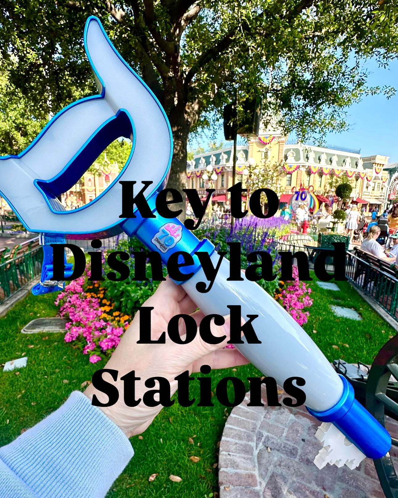 Here is the“Key to Disneyland” which is an in-park experience to