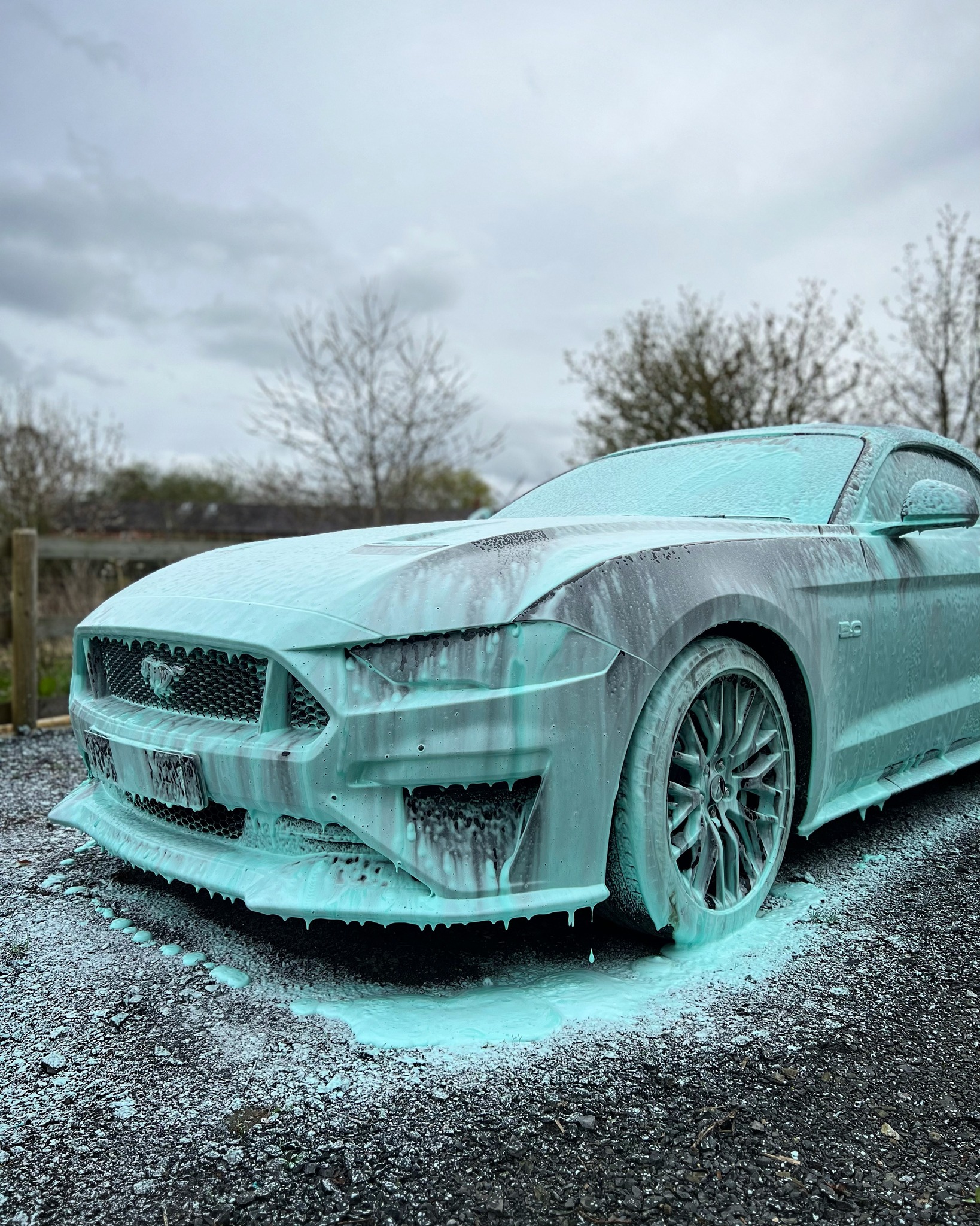 Auto Reflect Detailing