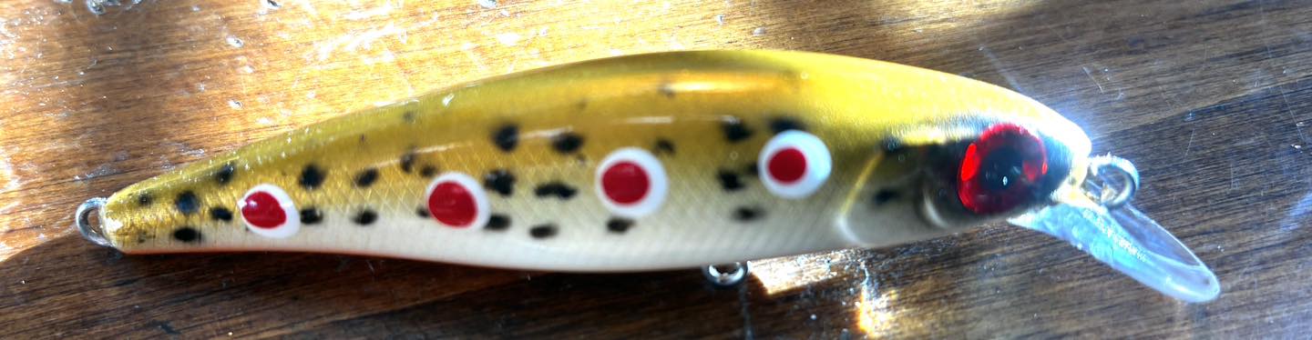 color changing fishing lures TRUSCEND Duramax Pre-Rigged TPE Soft Swimbait with BKK Hooks C-2.5