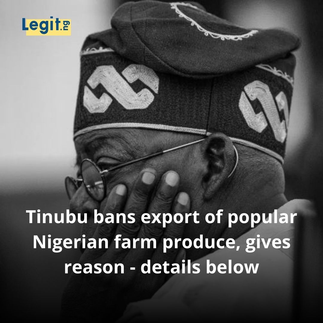 Legit.ng - President Bola Tinubu has halted the... | Facebook