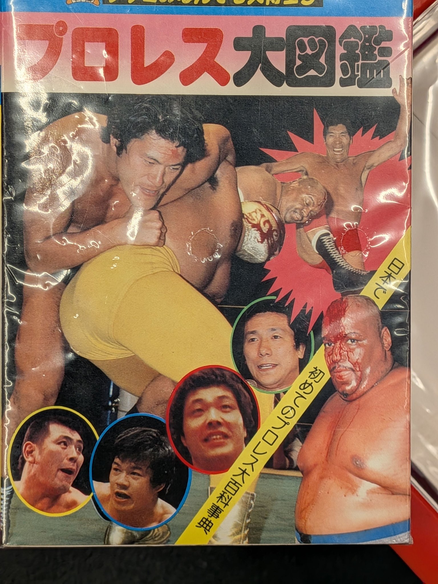 プロレス大図鑑😲 馬場・猪木・鶴田・デストロイヤー…ブッチャ🤯