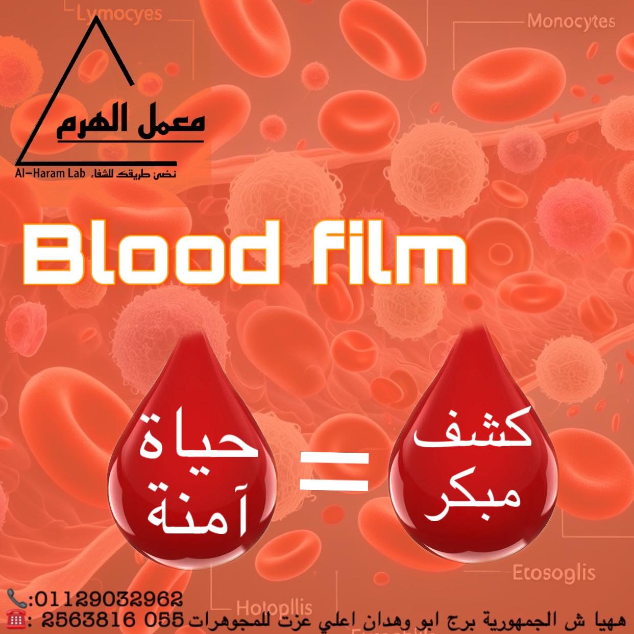 معمل الهرم 