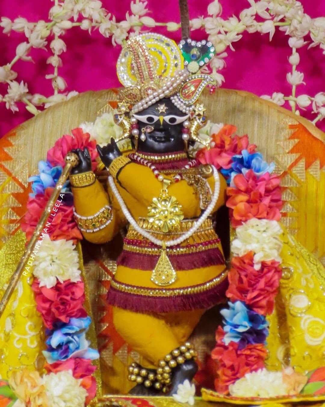 Sri Radha Raman | Vrindaban