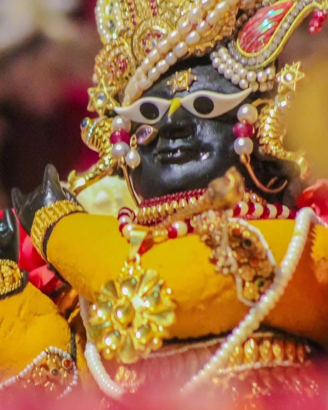 Sri Radha Raman | Vrindaban