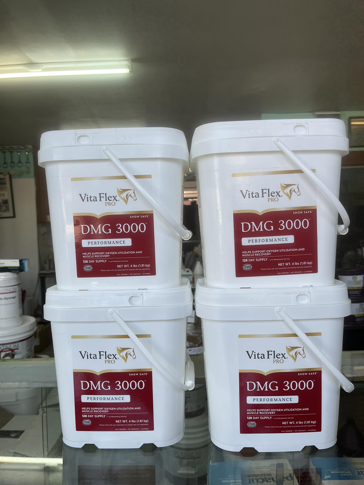 Pro DMG 3000 Horse Supplement - 4 Pound Concentrate, 128-Day Supply