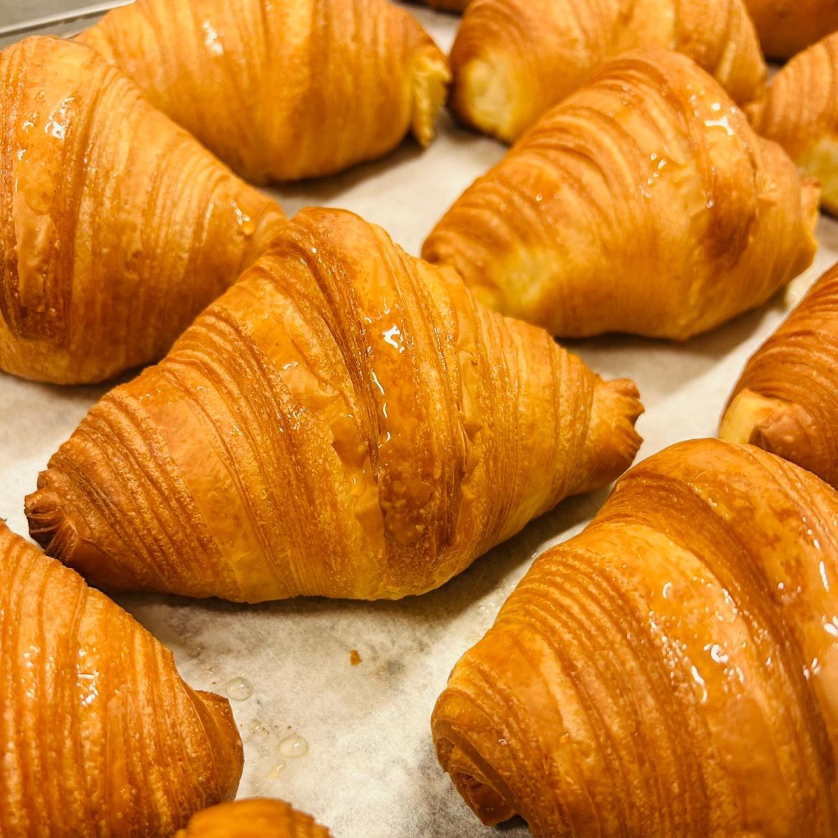 Panella - l'arte del pane - Panella. Via Merulana,54 📍 #pane #ricetta # ...