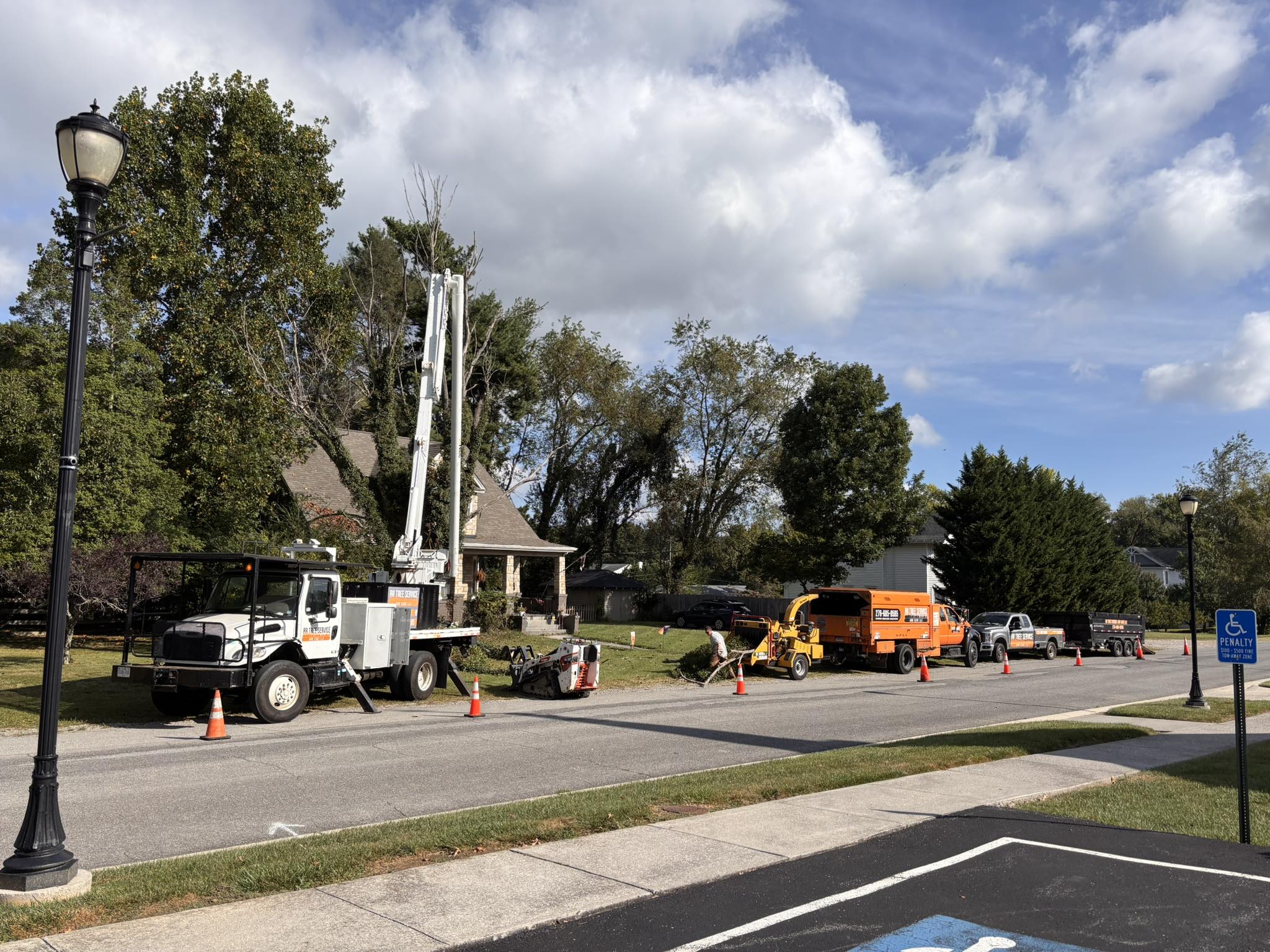 RR Tree Service and Care LLC | Rural Retreat VA