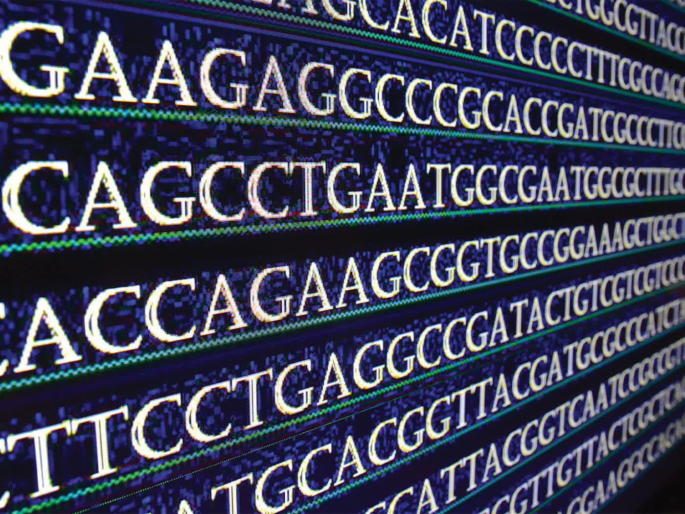 Institute - 🧬 Located in all major features of eukaryotic genes ...