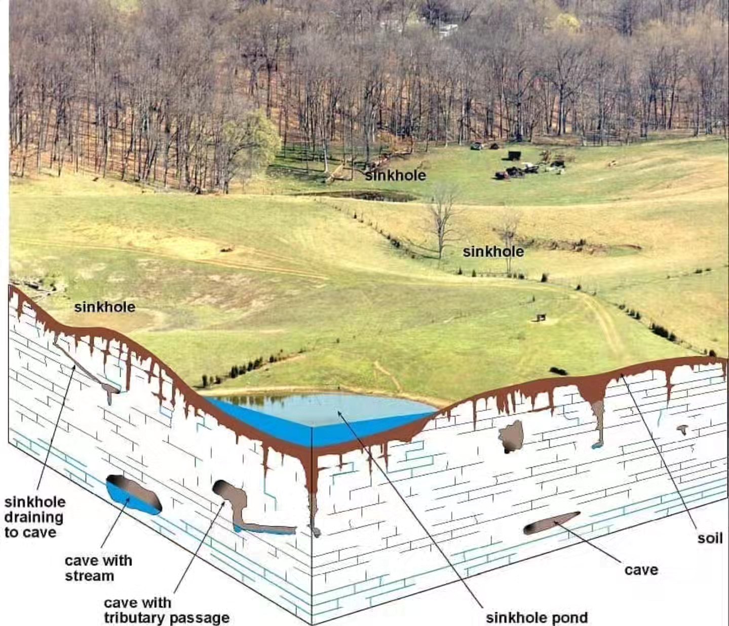 Think - Sinkholes and caves. A sinkhole is a depression or hole in the ...
